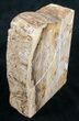 Oregon Petrified Wood Bookends - Oak #9723-2